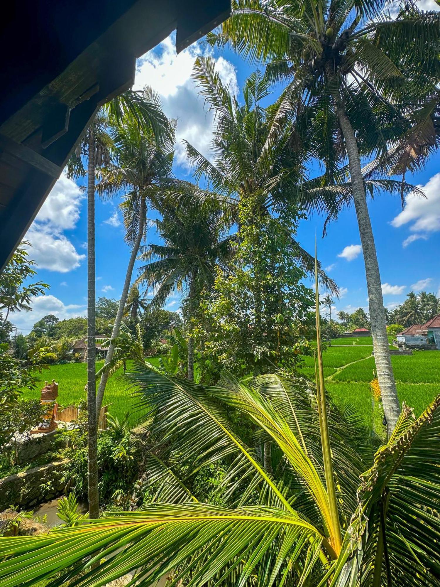 Hotel Nunu Bali Eco Friendly Retreat à Canggu Extérieur photo