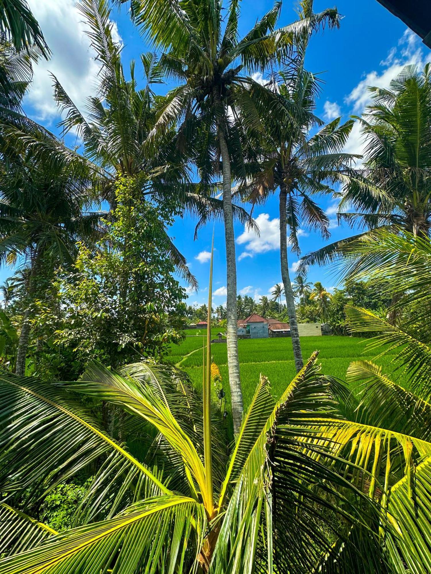 Hotel Nunu Bali Eco Friendly Retreat à Canggu Extérieur photo