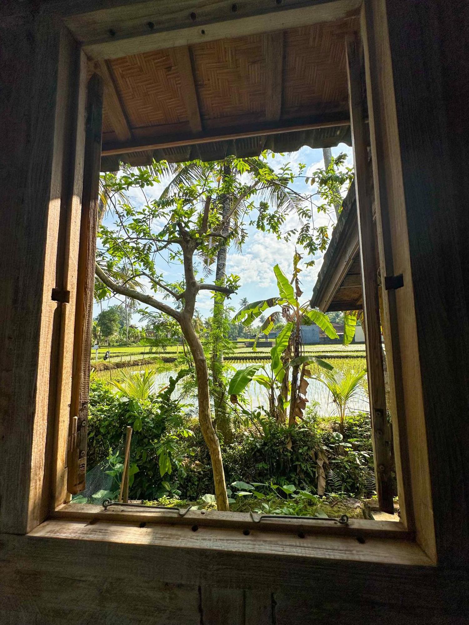 Hotel Nunu Bali Eco Friendly Retreat à Canggu Extérieur photo