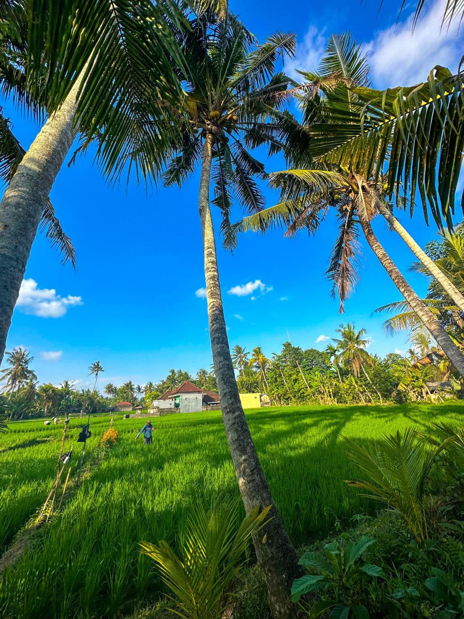 Hotel Nunu Bali Eco Friendly Retreat à Canggu Extérieur photo